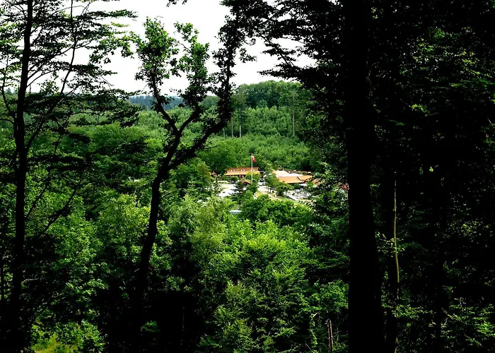 Randboldal Camping & Cabins