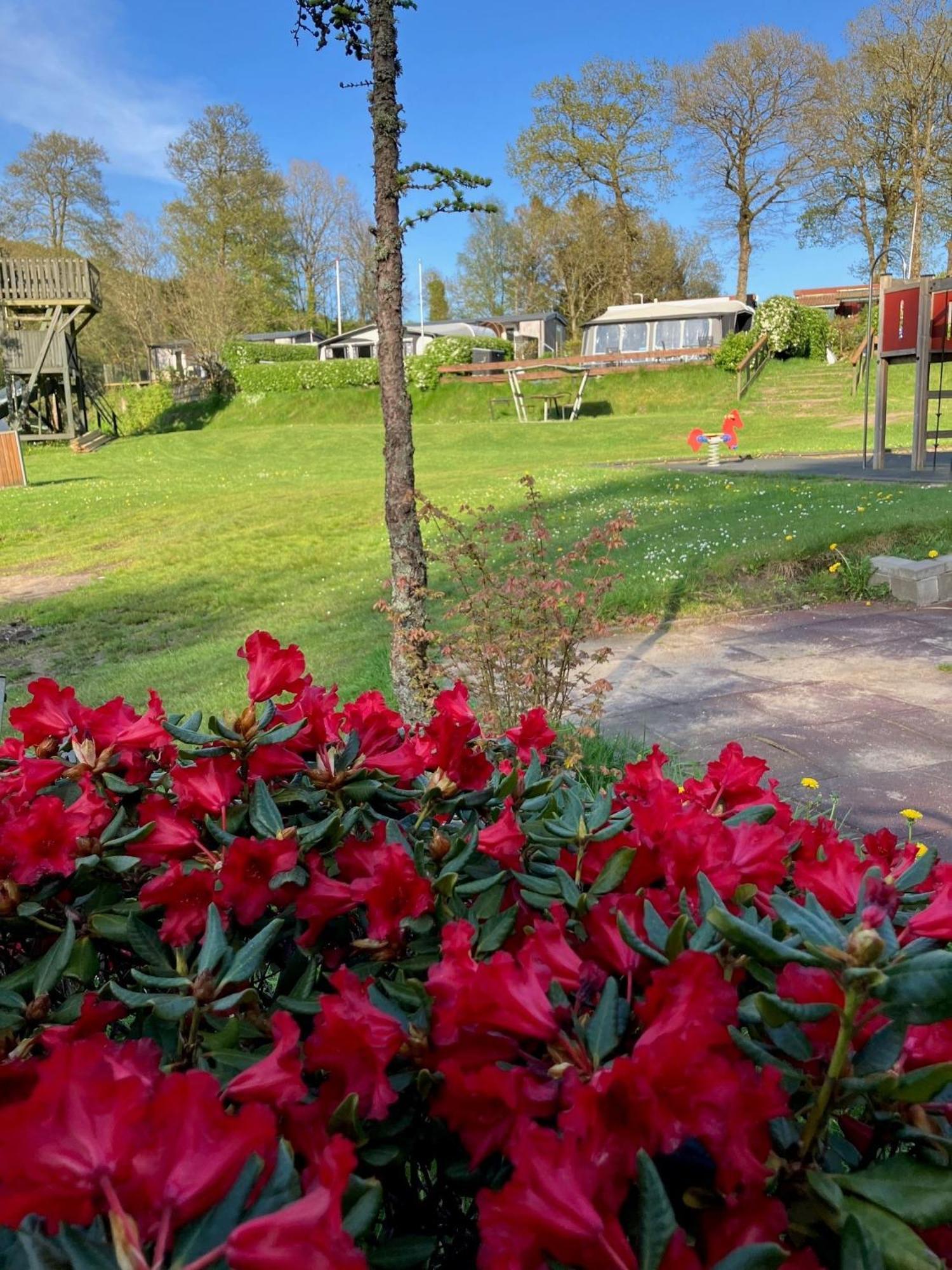 Randboldal & Campingplatz Randbøl