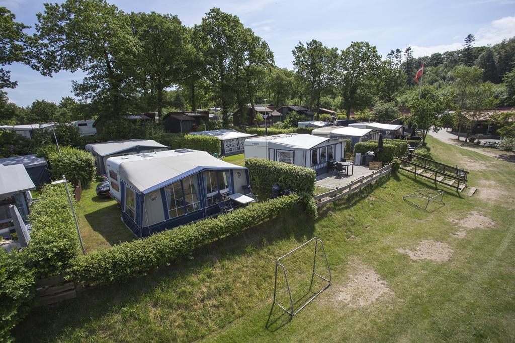 Randboldal & 2* Randbøl