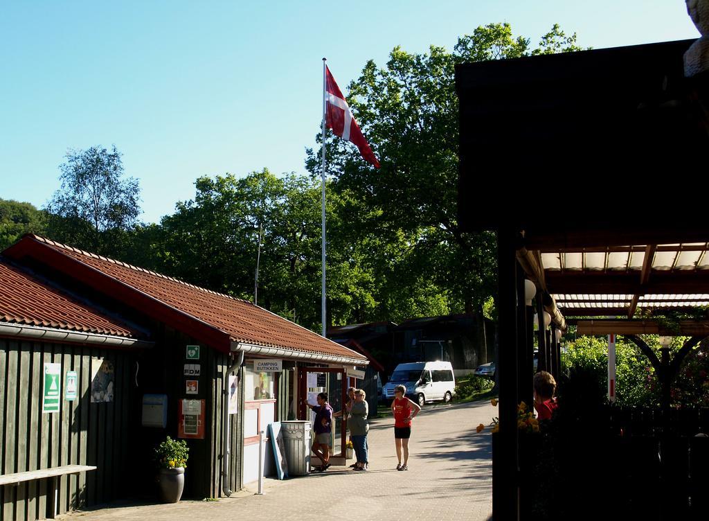 Campingplatz Randboldal & 2*