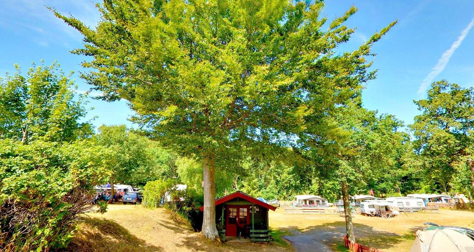 Camping Randboldal & Randbøl